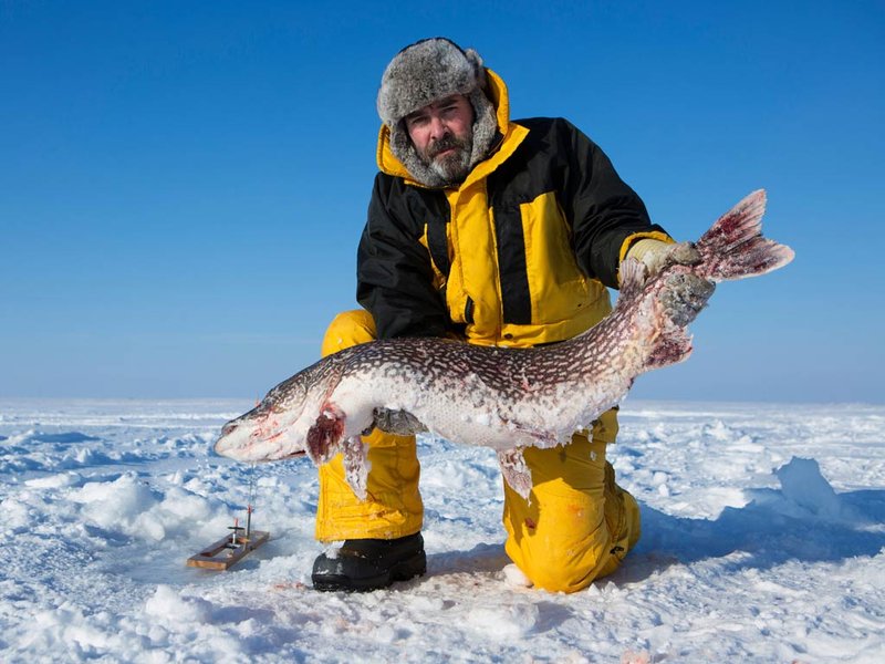 Ice fishing casino - Experience Thrilling Ice Fishing Action at UK Live Online Casinos